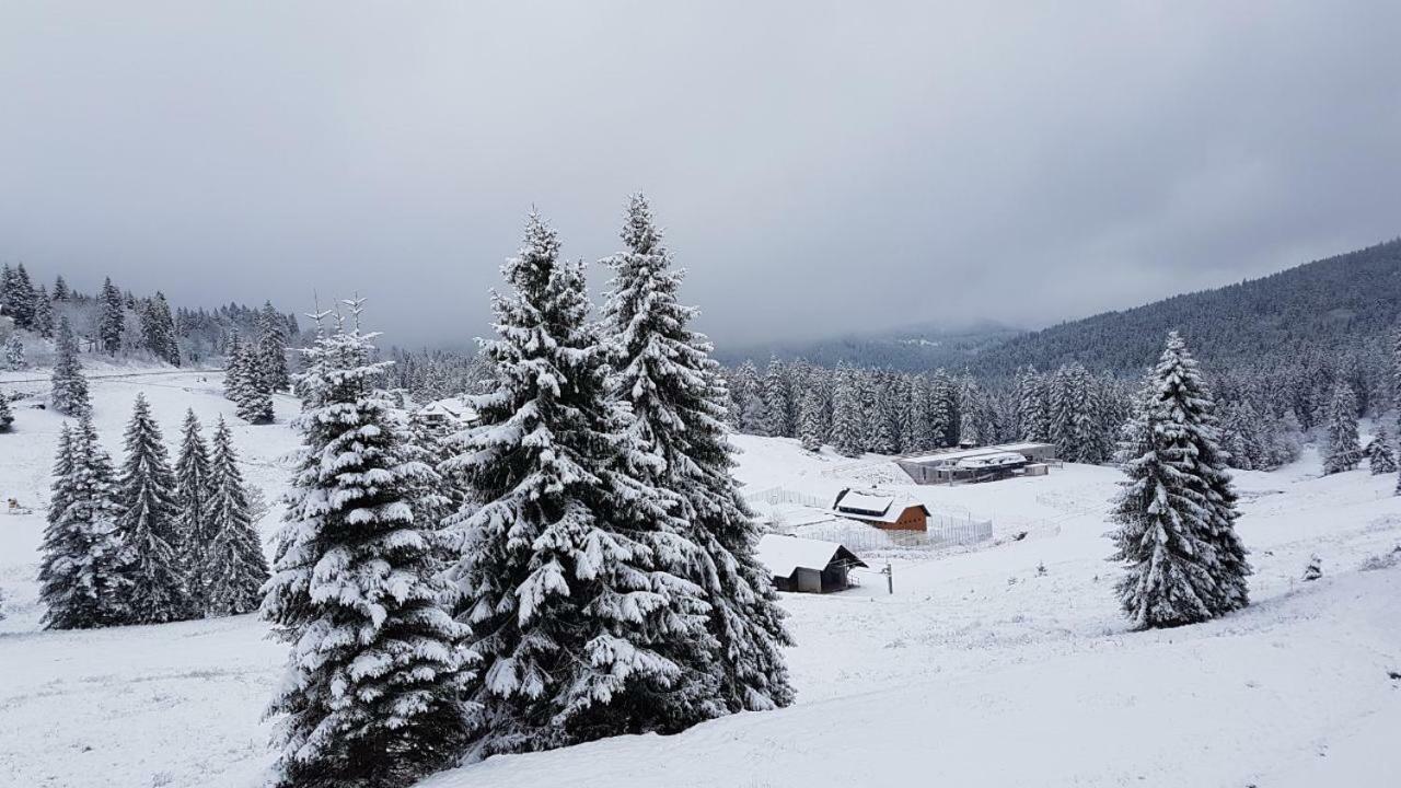 Апартаменты Winter-Nest Тодтнау Экстерьер фото